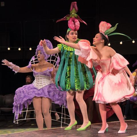 On a stage, four women in purple, pink, and green flower costumes perform.