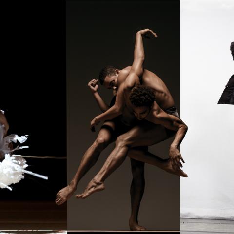A collage of three images: two dancers in white hold each other while one is upside down with their legs in the air, two dancers bodies are intertwined in moody lighting. and a third dancer in a top hat kicks her leg straight up.