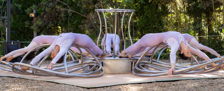 Four dancers, in lilac leotards, lean backwards in a metal contraption that opens like a flower.