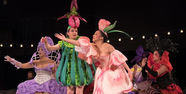 On a stage, four women in purple, pink, and green flower costumes perform.