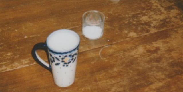 A polaroid with flash of a cup and flowers on a kitchen table.