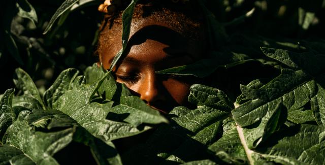 A Black person's eyes are closed. The rest of their face is covered by lush green leaves.