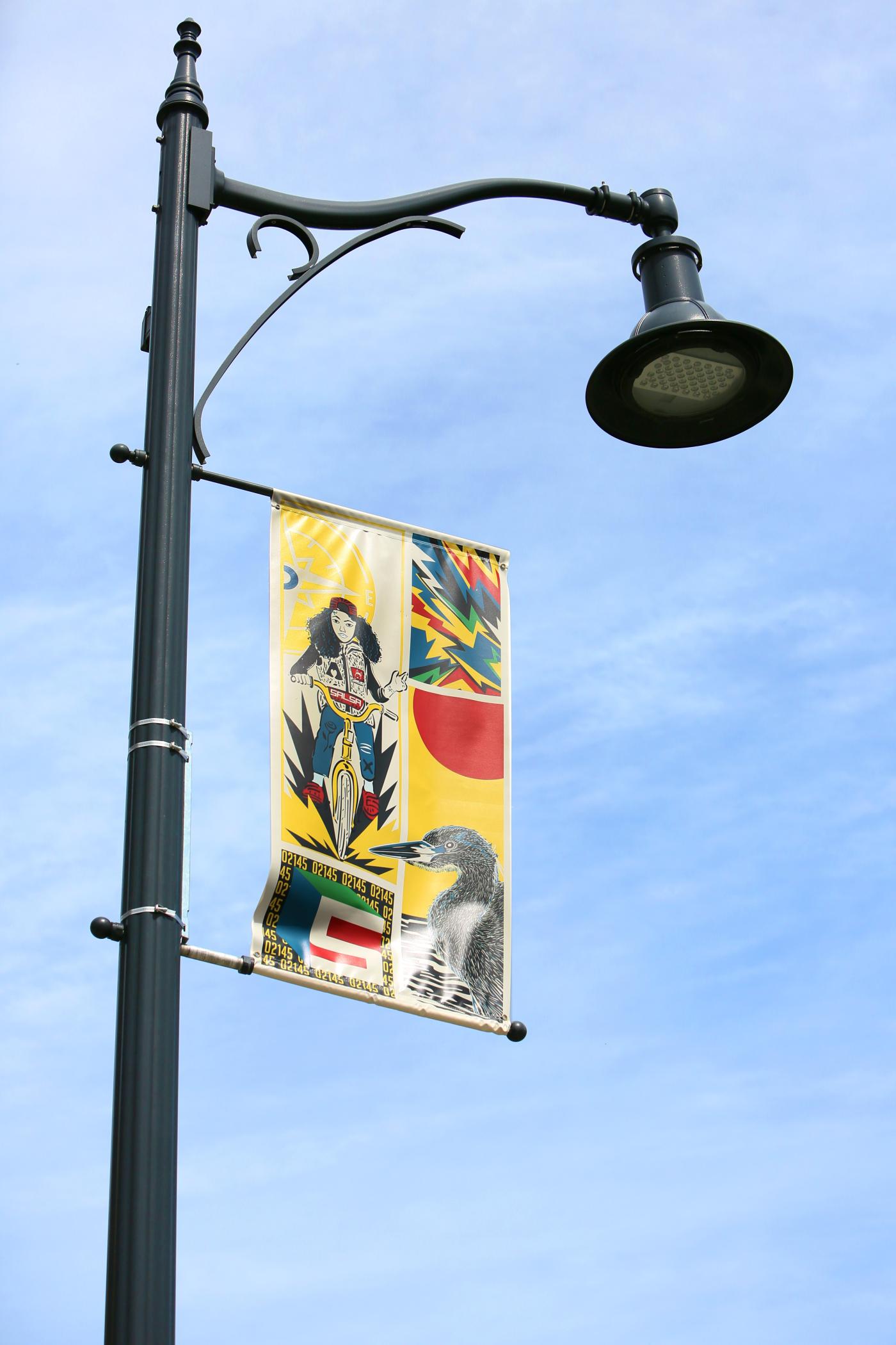 A light post with a banner. The banner has a woman and a goose. 