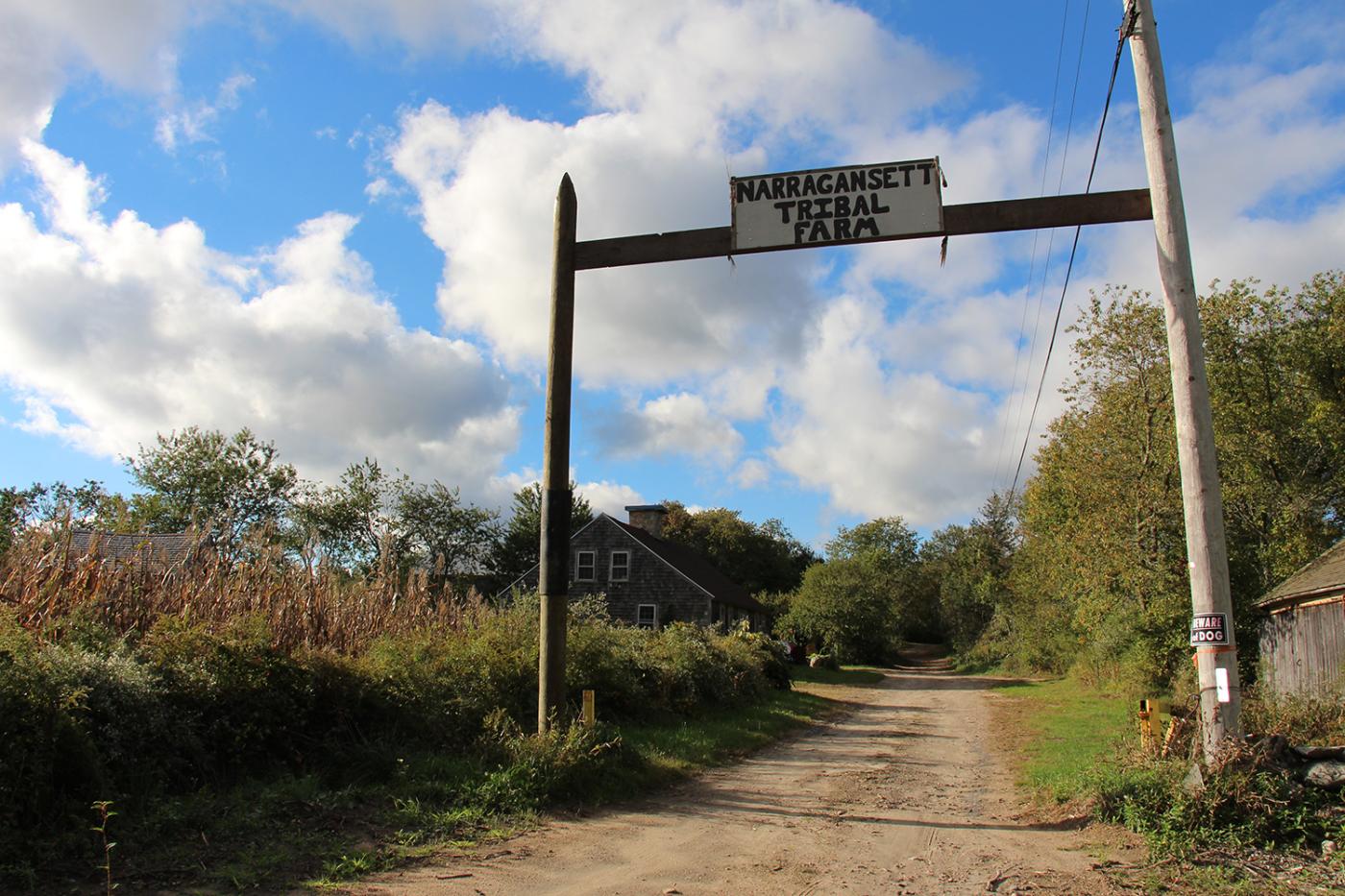The entrance to the Crandall “minacommuck” Farm in Westerly, Rhode Island has a dirt road leading to the main property. A sign that reads “Narragansett Tribal Farm” is attached to a board between two tall wooden posts in the foreground. In the background, a small building is seen on the left side of the dirt road. Blue sky, clouds, and sunshine spill across the property. 
