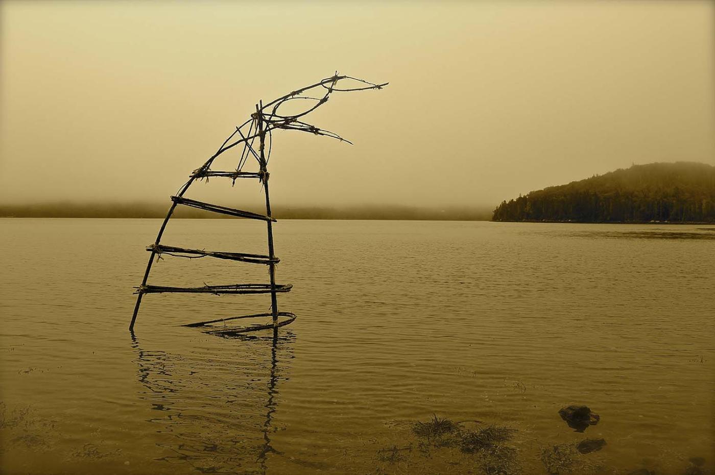 Bound saplings form a whale tale over a tide.
