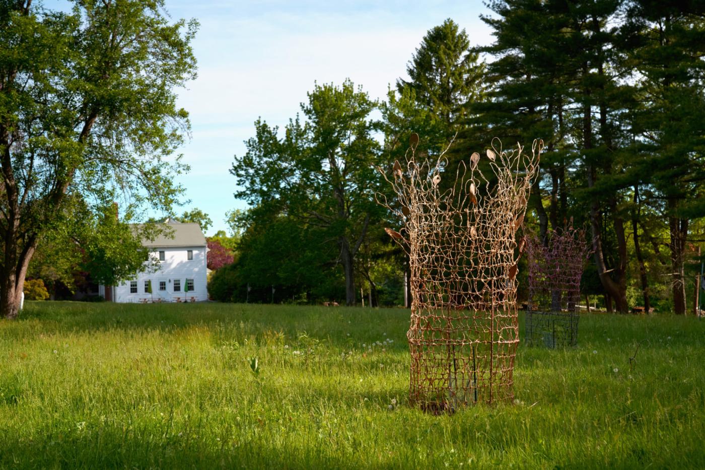 In a grassy field, a sculptural net with a tiny plant inside. Beyond, a white house and a line of trees.