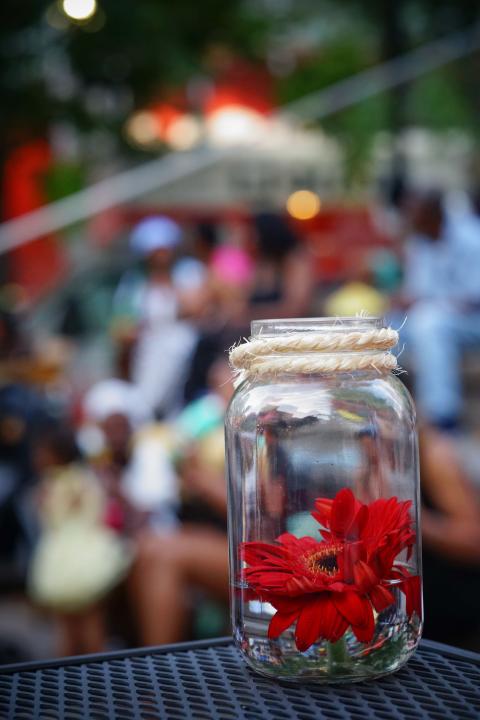 A jar with red flowers in it.