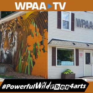 promo shot of a mural of tiger on the side of a building advertising public access television