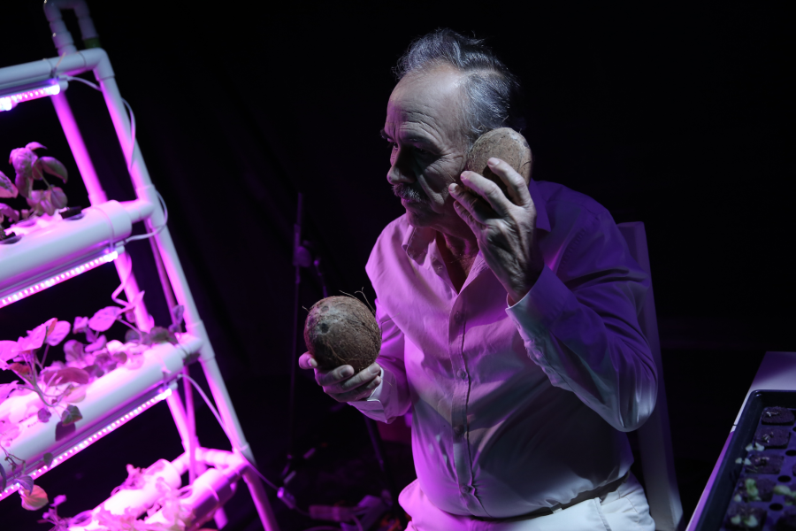 An older white man holds a coconut to his face and another in his hand like an old telephone.