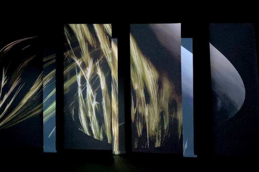 Five screens with hair and different textiles projected across them.