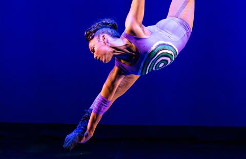 A circus perform hangs from a cyr wheel. She reaches toward the ground and wears a purple leotard.