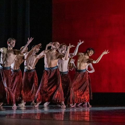 On a stage, in front of a red backdrop, seven dancers in only red pants hold their left hands up and their right arm to their sides.