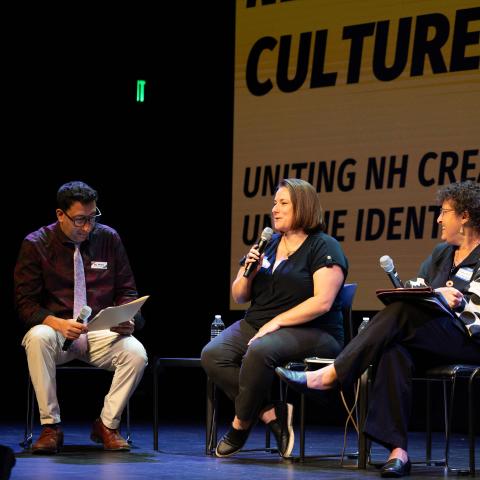 On a stage, a white woman, with a brown bob, holds a microphone. She sits between three other folks who are also seated in the spotlights.