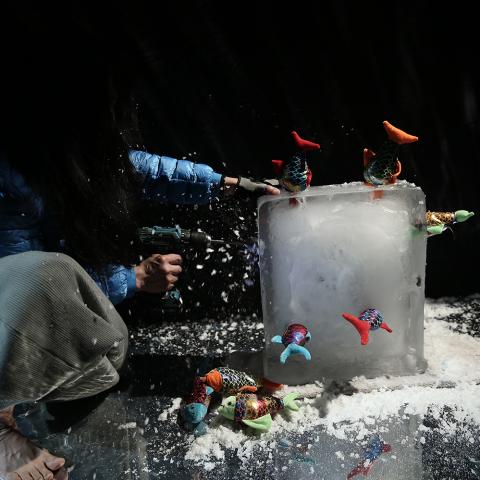 A person chizzles an ice block with fake fish sticking out of it.