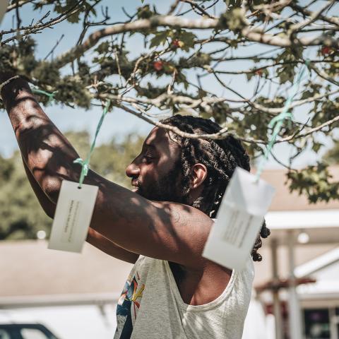 A young, Black guy ties a slip of paper to a tree with string. On the tree around him, there are other slips of paper blowing in the wind.