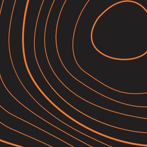 Decorative topography in orange and black.