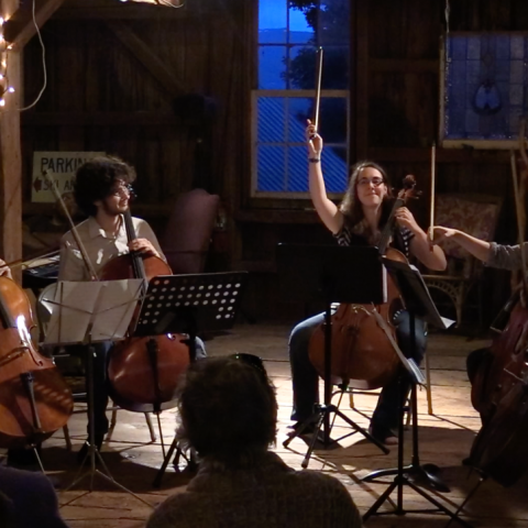 Under a spotlight, five cellists play in a cabin at dusk.
