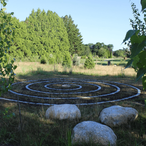 In a field lined by trees, rocks form a spiral on the ground.