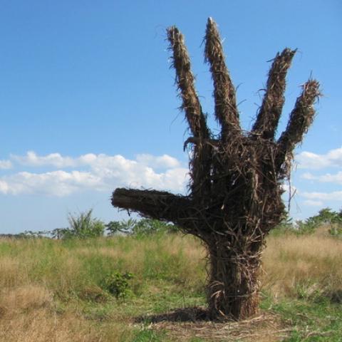 Two hands, made of twigs, rise up out of the ground in an open, grassy field.