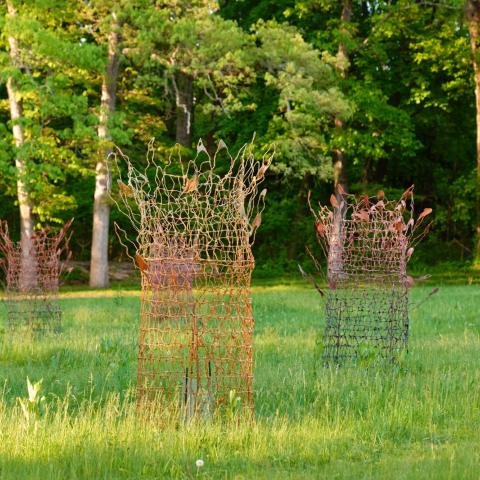 In a grassy field, brown, porous paper scultpures, like a circular netting, reach toward the sky.