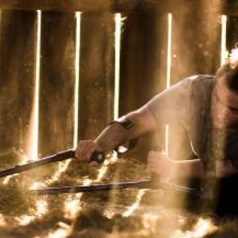 Toby dances on the ground in hay in front of wooden slats. It may be in a barn. Sun shines through the slats.